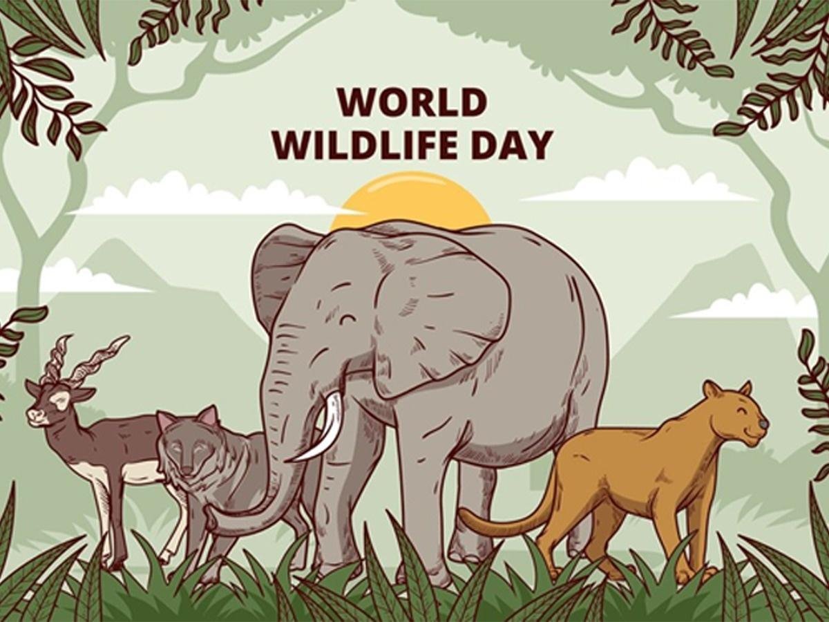 3rd March 2024 World Wildlife Day HD Photos